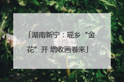 湖南新宁：瑶乡“金花”开 增收画卷来
