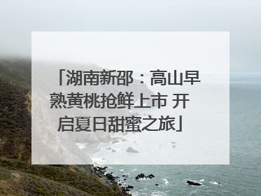 湖南新邵：高山早熟黄桃抢鲜上市 开启夏日甜蜜之旅
