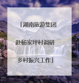 湖南旅游集团赴杨家坪村调研乡村振兴工作