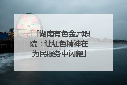 湖南有色金属职院：让红色精神在为民服务中闪耀