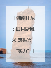 湖南桂东：展村厨风采 烹振兴“实力”