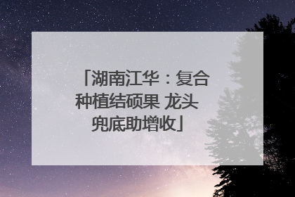 湖南江华：复合种植结硕果 龙头兜底助增收