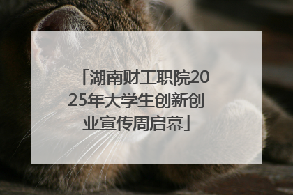 湖南财工职院2025年大学生创新创业宣传周启幕