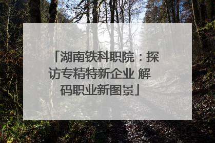 湖南铁科职院：探访专精特新企业 解码职业新图景