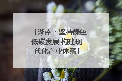 湖南：坚持绿色低碳发展 构建现代化产业体系