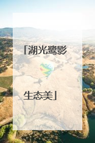 湖光鹭影生态美