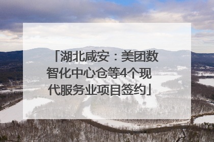 湖北咸安：美团数智化中心仓等4个现代服务业项目签约