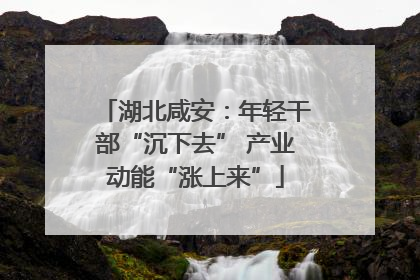 湖北咸安：年轻干部“沉下去” 产业动能“涨上来”