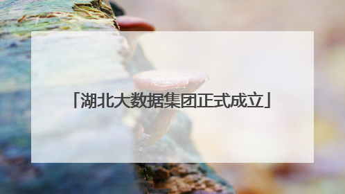 湖北大数据集团正式成立