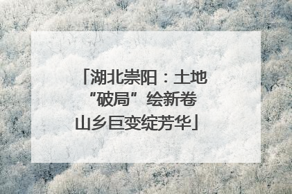 湖北崇阳：土地“破局”绘新卷 山乡巨变绽芳华