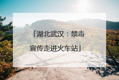 湖北武汉：禁毒宣传走进火车站