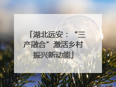 湖北远安：“三产融合”激活乡村振兴新动能