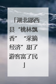 湖北郧西县“桃林飘香”“采摘经济”甜了游客富了民