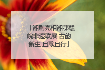 湘剧亮相湘鄂赣皖非遗联展 古韵新生 且歌且行