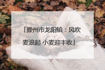 滕州市龙阳镇：风吹麦浪起 小麦迎丰收