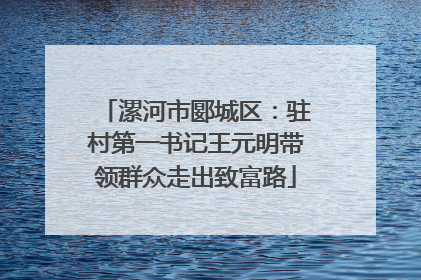 漯河市郾城区：驻村第一书记王元明带领群众走出致富路