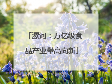 漯河：万亿级食品产业攀高向新
