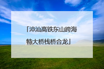 漳汕高铁东山跨海特大桥栈桥合龙