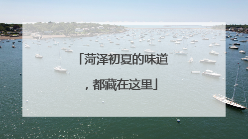 菏泽初夏的味道，都藏在这里