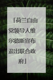 荷兰自由党领导人维尔德斯宣布退出联合政府
