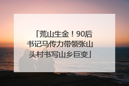 荒山生金！90后书记马传力带领张山头村书写山乡巨变