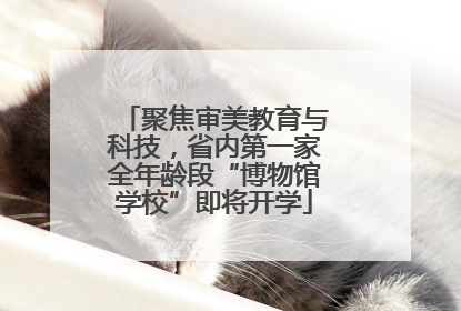聚焦审美教育与科技，省内第一家全年龄段“博物馆学校”即将开学