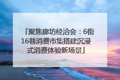 聚焦廊坊经洽会：6街16巷消费市集搭建沉浸式消费体验新场景