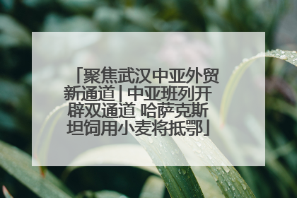 聚焦武汉中亚外贸新通道│中亚班列开辟双通道 哈萨克斯坦饲用小麦将抵鄂