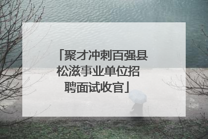 聚才冲刺百强县 松滋事业单位招聘面试收官