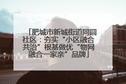 肥城市新城街道同圆社区：夯实“小区融合共治”根基做优“物网融合一家亲”品牌