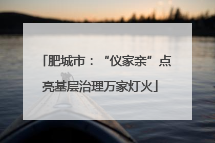 肥城市：“仪家亲”点亮基层治理万家灯火