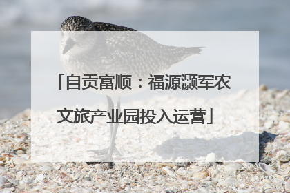 自贡富顺：福源灏军农文旅产业园投入运营