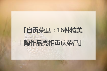 自贡荣县：16件精美土陶作品亮相重庆荣昌