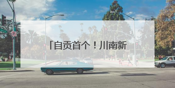 自贡首个！川南新材料化工园区入选“一园一策一图”国家级试点园区