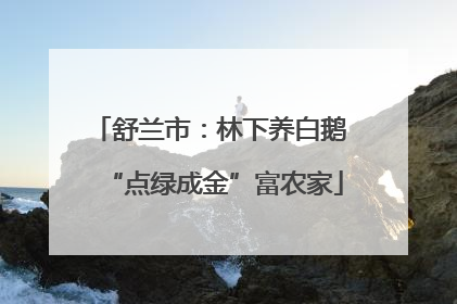 舒兰市：林下养白鹅 “点绿成金”富农家