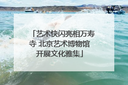 艺术快闪亮相万寿寺 北京艺术博物馆开展文化雅集
