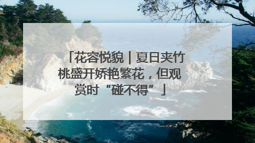 花容悦貌｜夏日夹竹桃盛开娇艳繁花，但观赏时“碰不得”