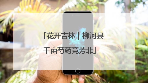 花开吉林｜柳河县千亩芍药竞芳菲