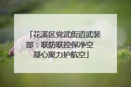 花溪区党武街道武装部：联防联控保净空 凝心聚力护航空
