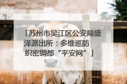 苏州市吴江区公安局盛泽派出所：多维巡防  织密绸都“平安网”