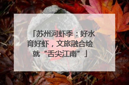 苏州河虾季：好水育好虾，文旅融合绘就“舌尖江南”