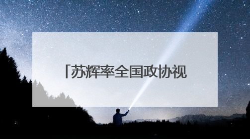 苏辉率全国政协视察团到江苏开展民主监督性视察活动