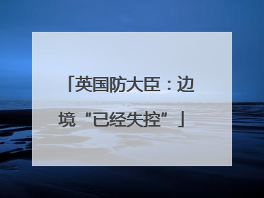 英国防大臣：边境“已经失控”