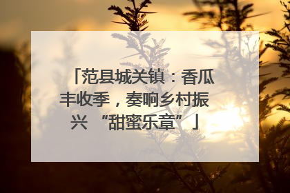 范县城关镇：香瓜丰收季，奏响乡村振兴 “甜蜜乐章”