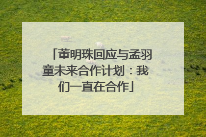 董明珠回应与孟羽童未来合作计划：我们一直在合作