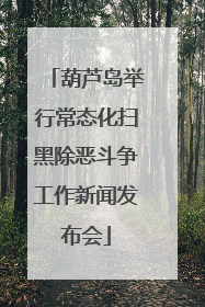 葫芦岛举行常态化扫黑除恶斗争工作新闻发布会