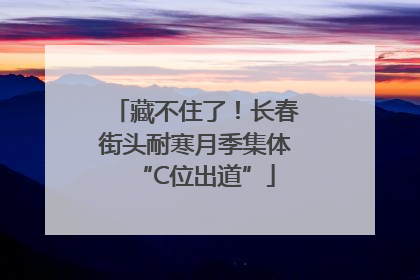 藏不住了！长春街头耐寒月季集体“C位出道”