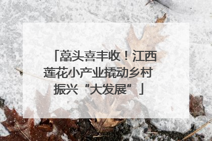 藠头喜丰收！江西莲花小产业撬动乡村振兴“大发展”