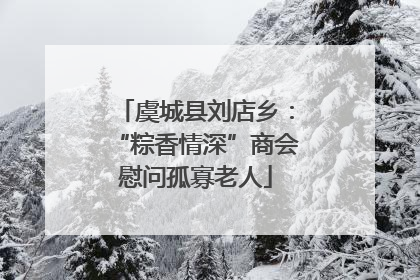 虞城县刘店乡：“粽香情深”商会慰问孤寡老人