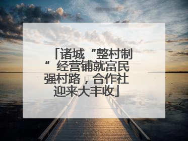 诸城“整村制”经营铺就富民强村路，合作社迎来大丰收